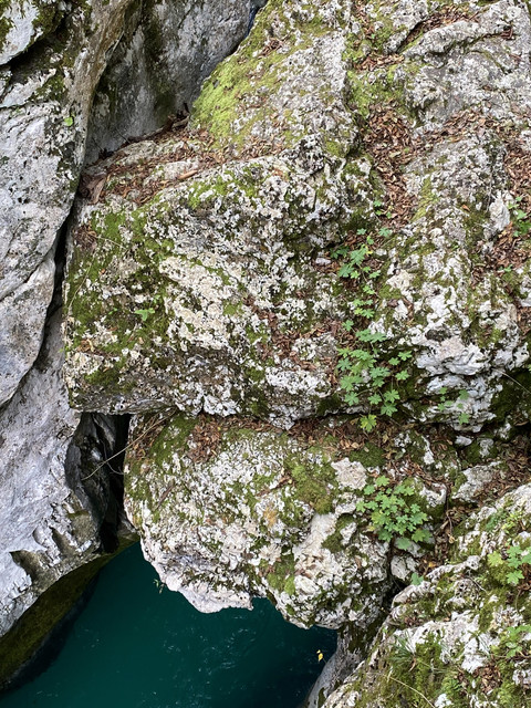 IMG-3256.jpg