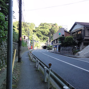 2011-07-11-11
