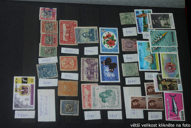 IMG-3366.jpg