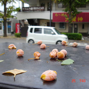 2008-10-25-043
