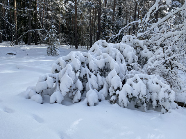 C560-F8-AB-C6-EE-4358-820-A-989-E31-D3-B