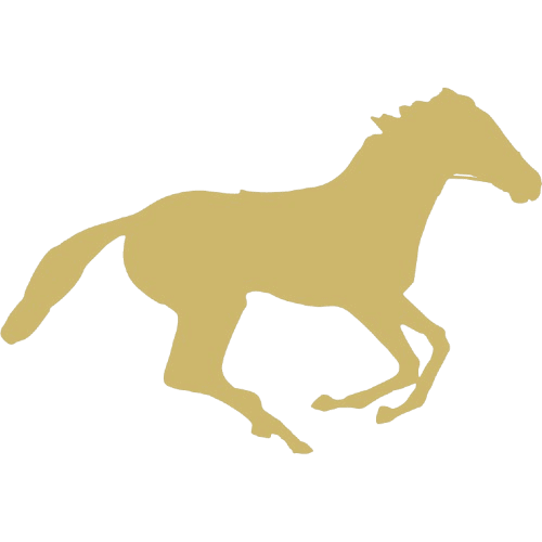 horse racing