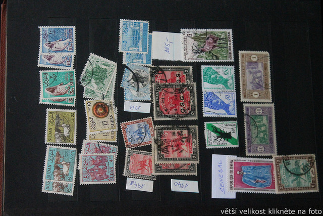 IMG-1964.jpg
