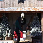 IMG-6462