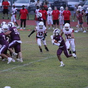 IMG-3067