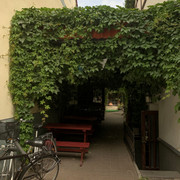 IMG-3364