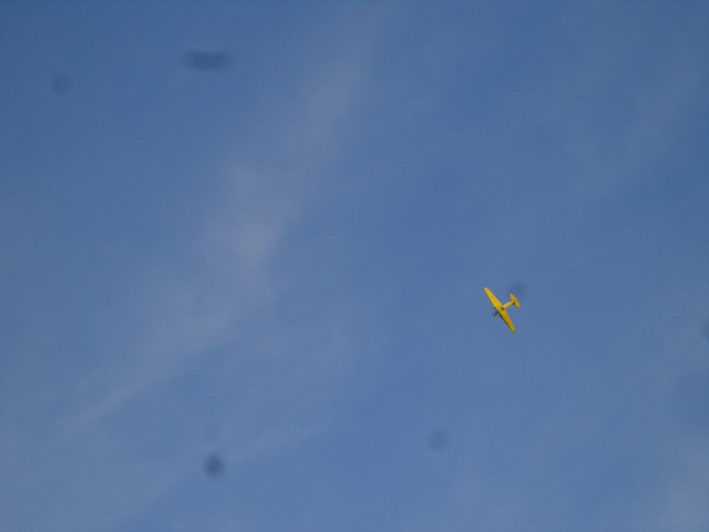 DSC00523.jpg