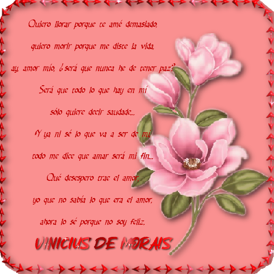 Imagen1vvvvvvvvvvvvv