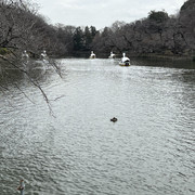 IMG-2647