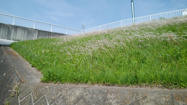 DSC-0097