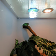 IMG-1463