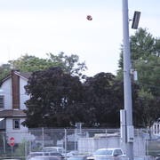 IMG-2942