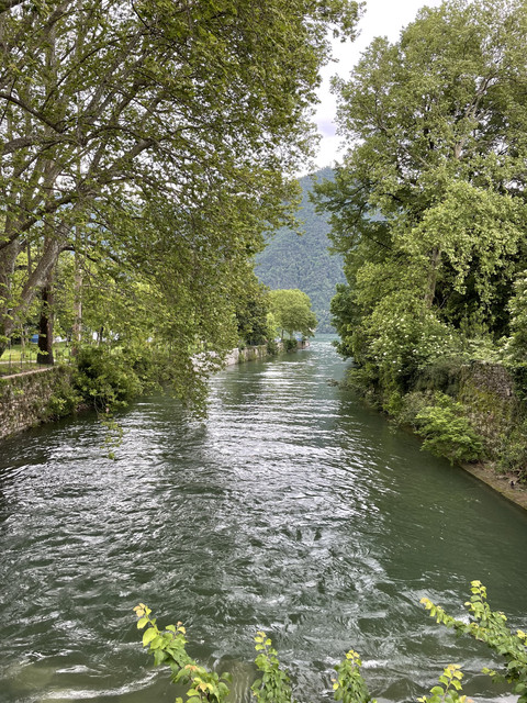IMG-0424