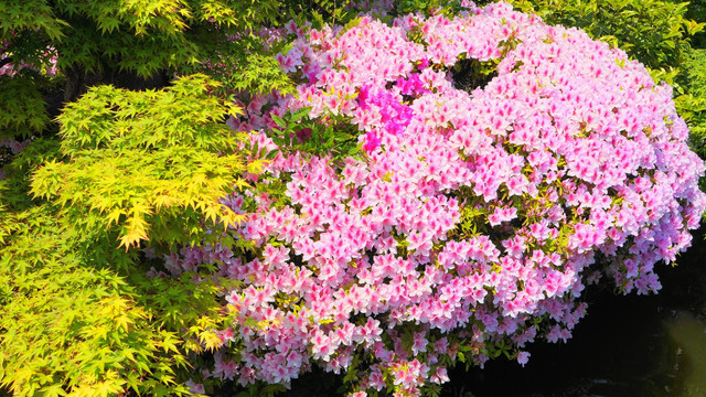 20130505192829e85