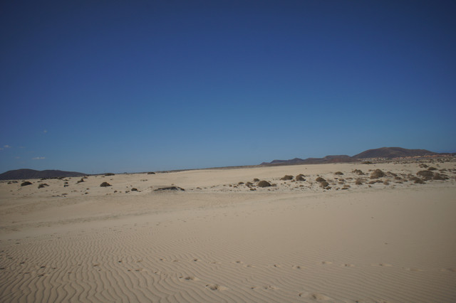 DSC01194
