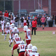 IMG-2610