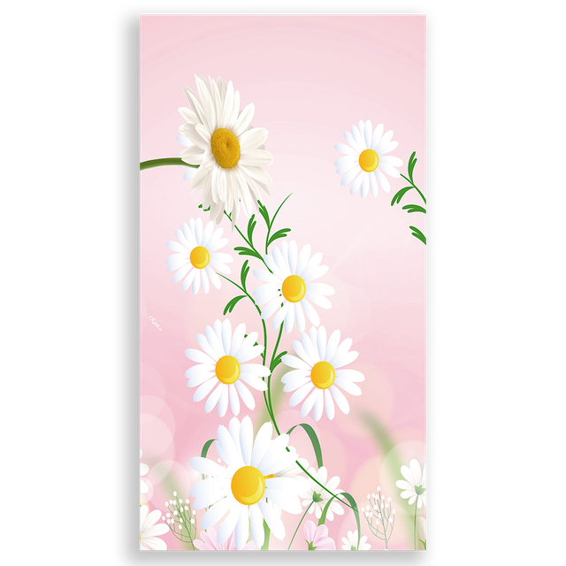 303581-Flor-Margarida
