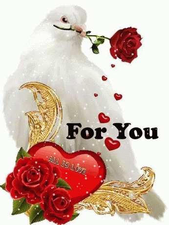 2015-1-1 2015-1-1