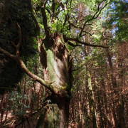 DSCF0600-602