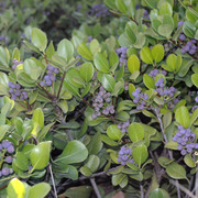 DSC7280