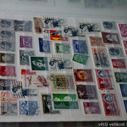 IMG-6931