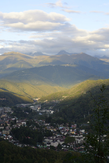 DSC7120.jpg