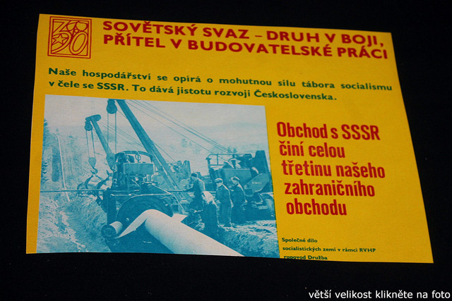 IMG-8648.jpg