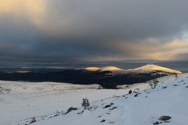 PXL-20241213-093418182