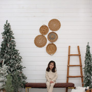 IMG-6499