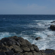 DSCF8179