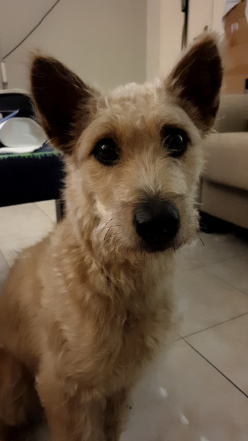 Kiki