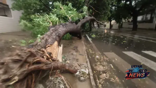 मोहाली में कुदरत का कहर: भारी बारिश और तूफान से जनजीवन अस्त-व्यस्त, कई इलाकों में ब्लैकआउट