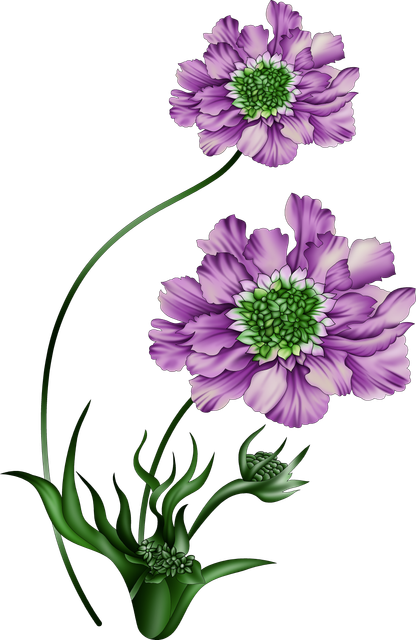 857f46885263ef445a7abf570194291f.png