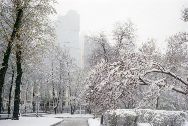 02 Kodak Vision 250D034.jpg