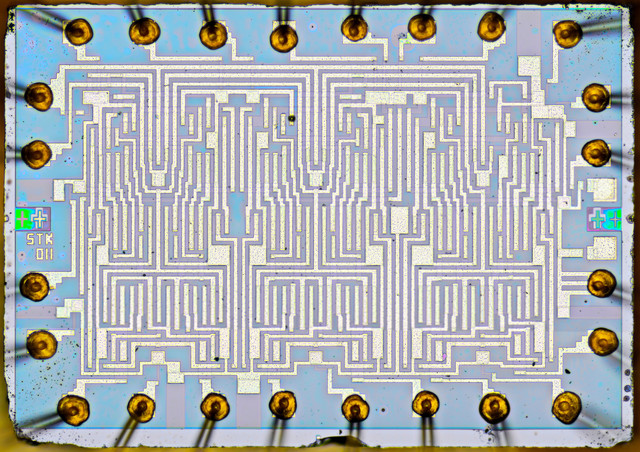 5TK011.jpg