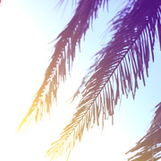 shutterstock 569462038