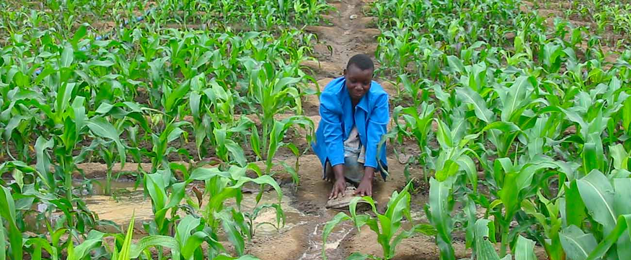 Illustration - Niger : la BAD lâche 180 millions USD pour l'agriculture des jeunes, mais qui contrôle vraiment les fonds sous la junte ?