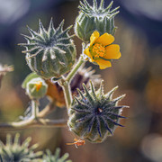 P8205278