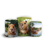 906654 Capivarinha