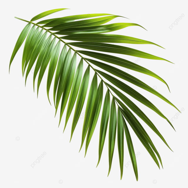 139ffaa04bd29d4a4b24fe8e0ff3dd68.png