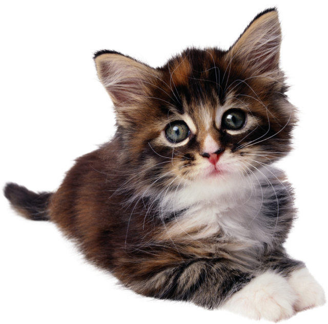 10-691511