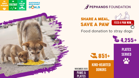 Dog Food Donation