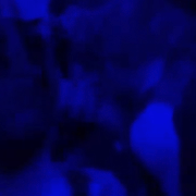 IMG 8259.gif