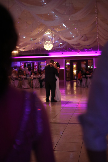 IMG-3555
