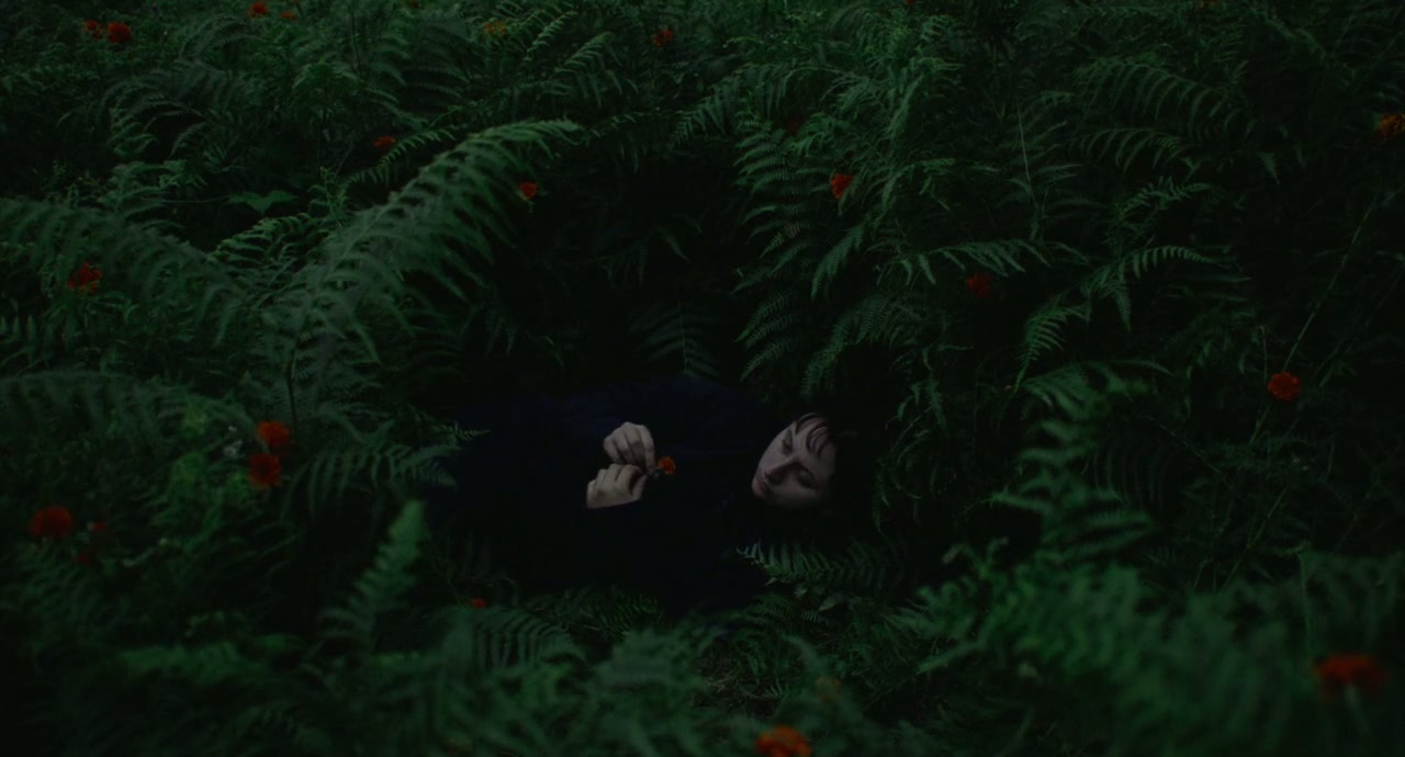 The Human Hibernation Screenshot