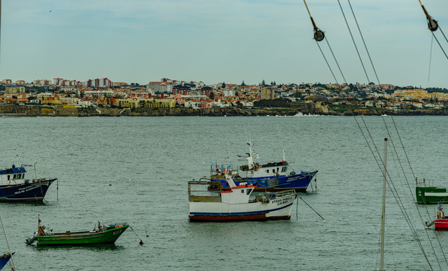 DSF6071.jpg