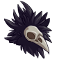 Corvid skull with feathers, facing right