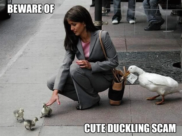 a65.png