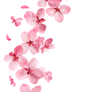 2ab978170d7b5a5ca7ce4df2dd58fa28