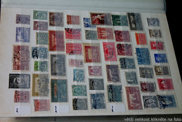 IMG-6921.jpg